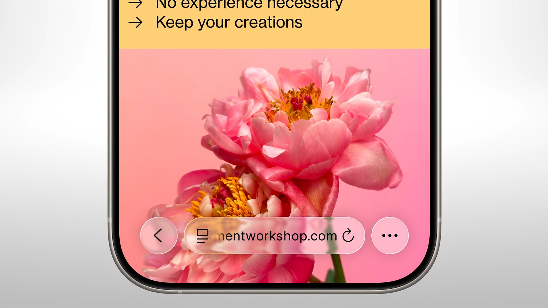 Liquid Glass in safari showing the address bar