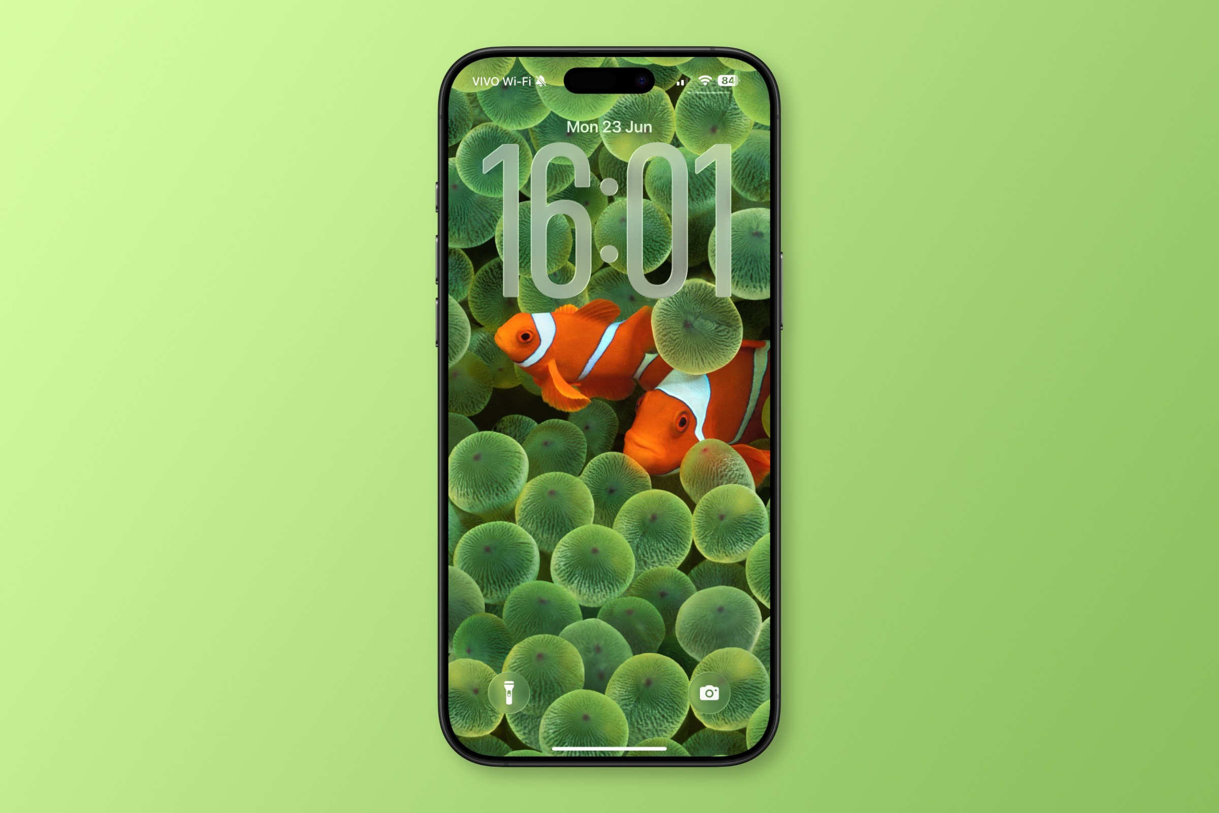 iphone clownfish wallpaper