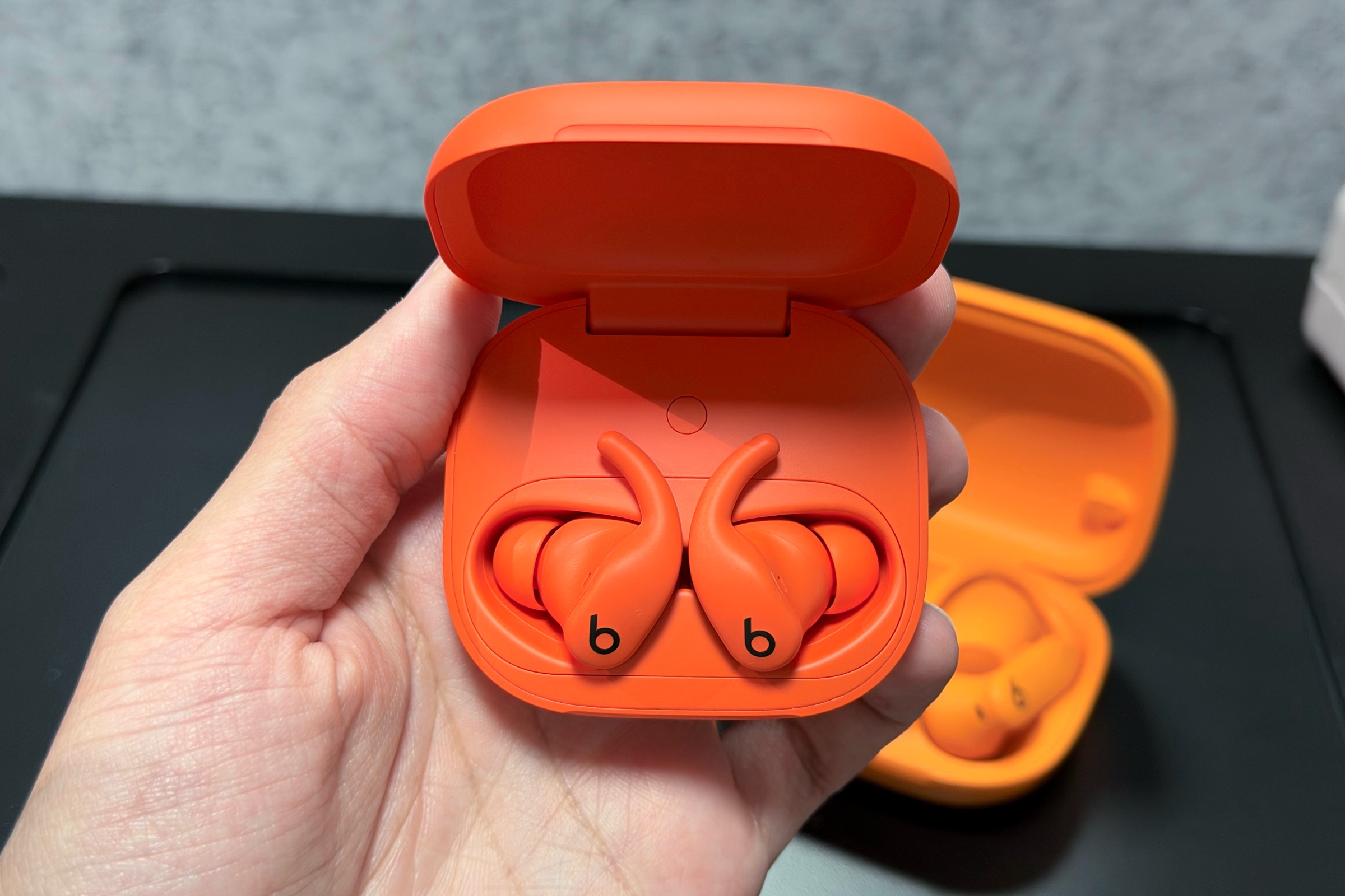 Powerbeats Fit in case