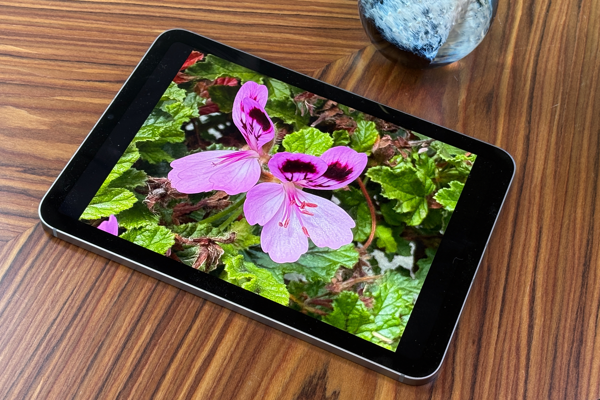 Should I buy iPad mini (A17 Pro, 2024)?